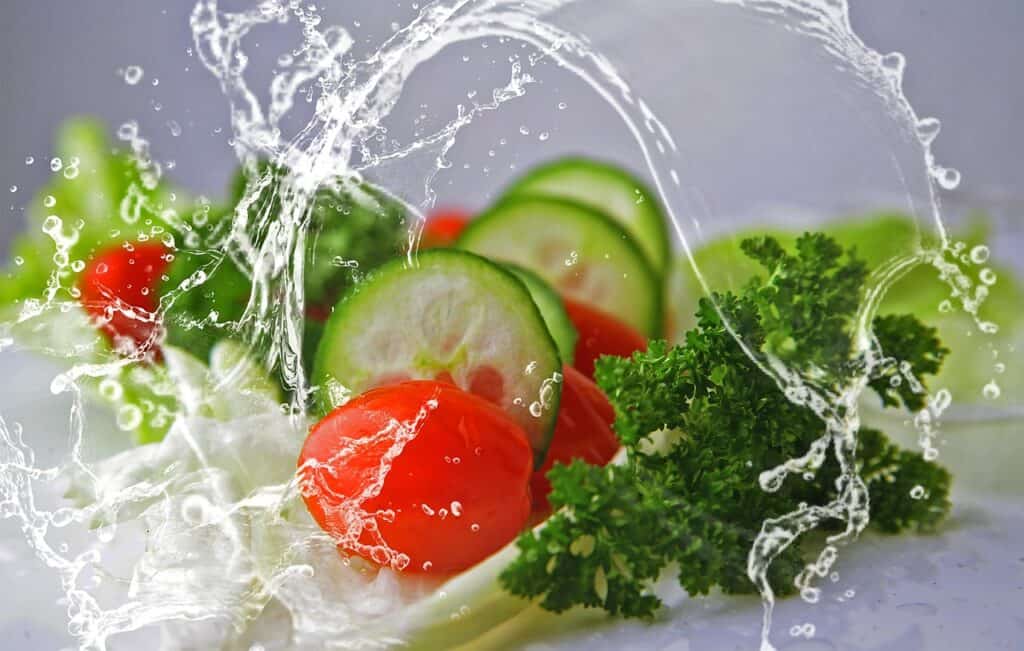 vegetarian_diet_salad