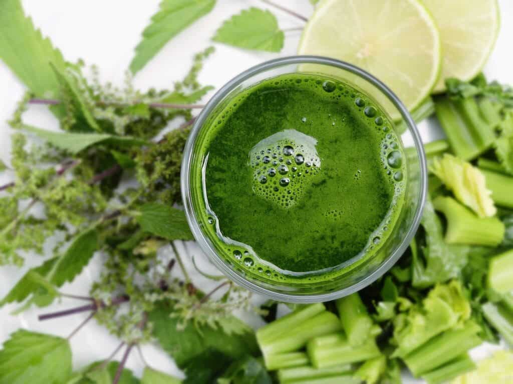 smothie_diet_vegetables_blender