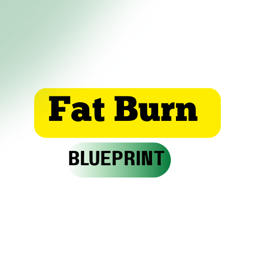 The Fat Burn Blueprint